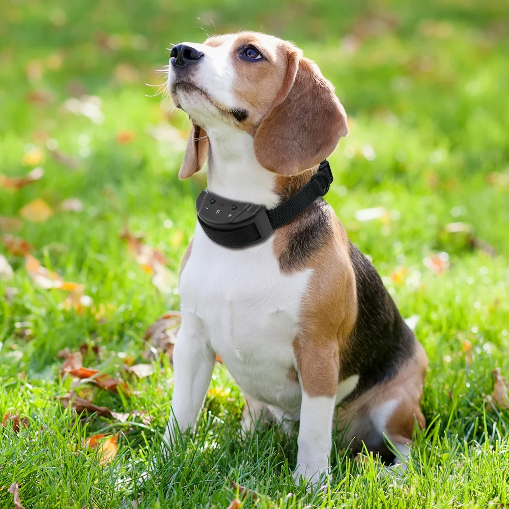

Powerful Ultrasound Electric Dog Training Collar Pet Anti-Barking Shock Collar Cheap Free Shipping
