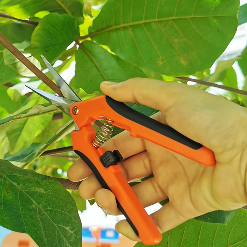 

Garden Pruning Shears Stainless Steel Hand Pruner Cutter Pruning Tools Grape Fruit Picking Weed Household Potted Branches Pruner