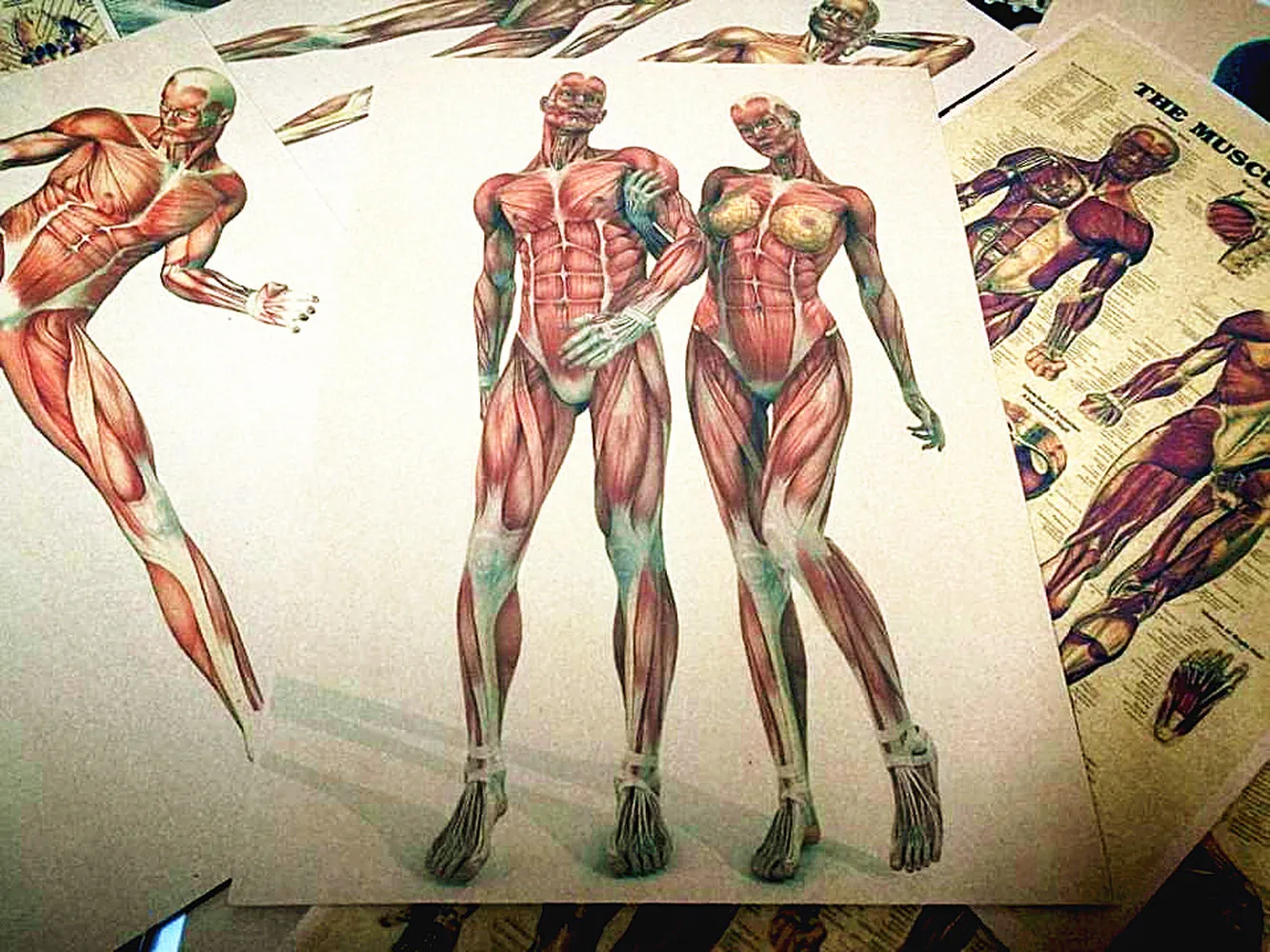 Концептуальная 3D Анатомия человека мужской дизайн здоровья шарнирная боль ретро