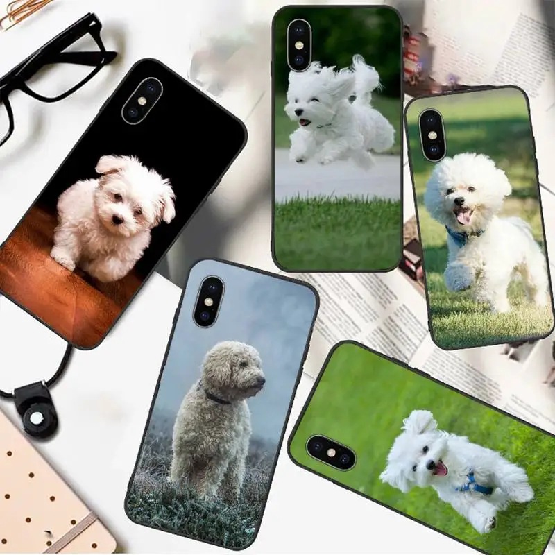 

Cute animal Bichon frise dog Phone Case For iphone 12 11 13 7 8 6 s plus x xs xr pro max mini
