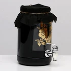 Набор Чайный гриб, 2,7 л 5202994