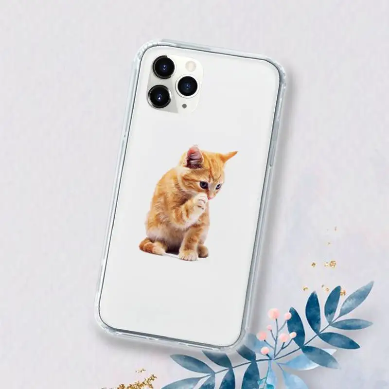 

Cute kitten Phone Case Transparent for iPhone 11 12 mini pro XS MAX 8 7 6 6S Plus X 5S SE 2020 XR