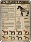 Ретро винтажный металлический знак Appaloosa Horse знания Настенный декор старомодный домашний кафе бар клуб жестяной знак 8x12 дюймов