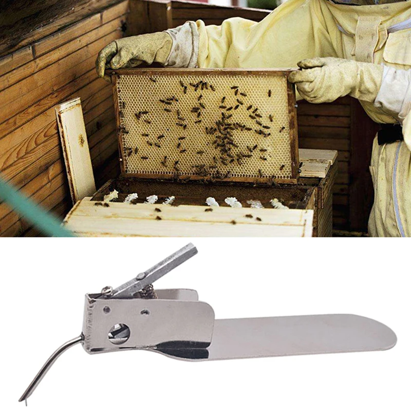 

Stainless Steel Beekeeping Queen Rearing Worm Moving Transferring Needle Master Grafting Tool with Spare Tongue