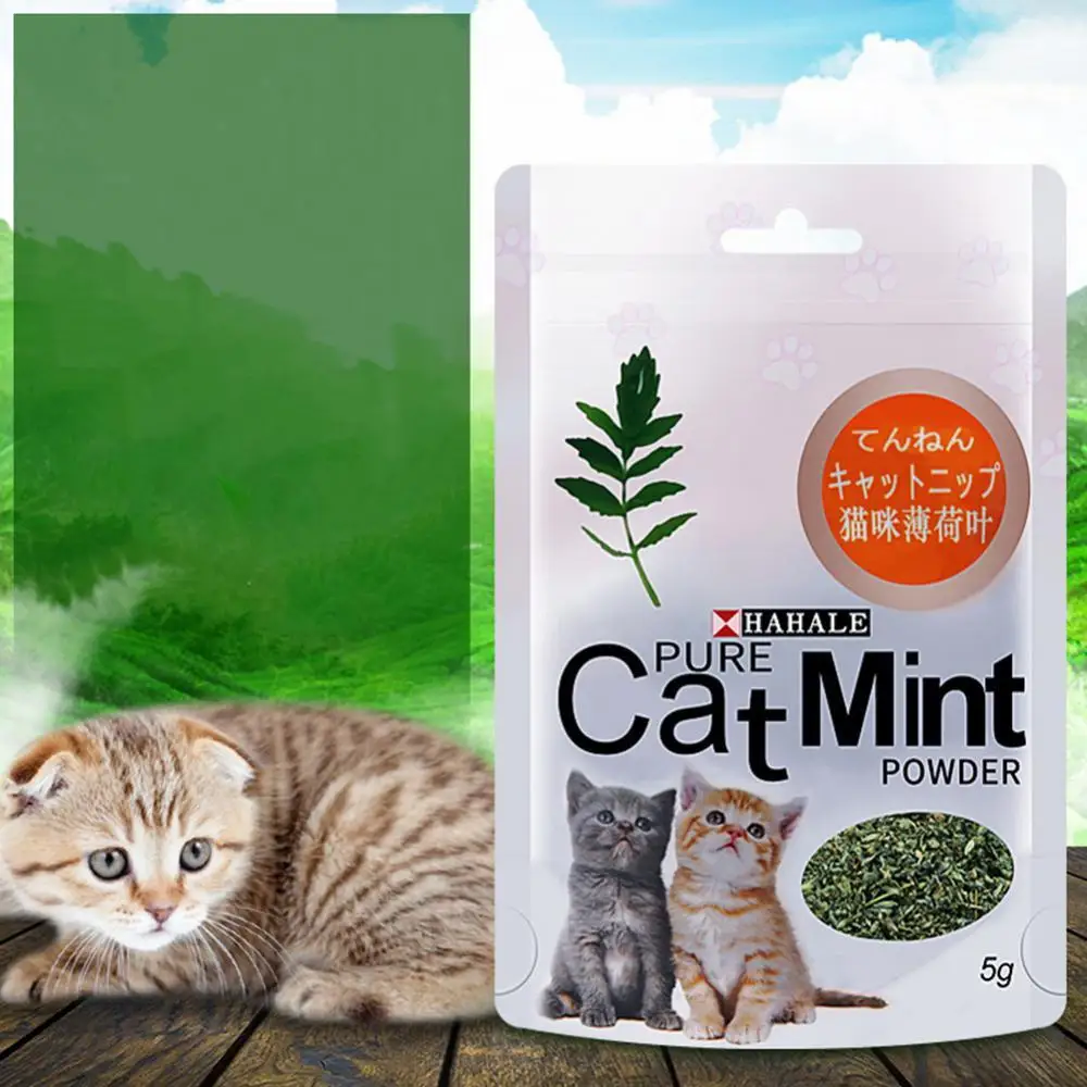 

5g/Pack Cat Mint Powder Natural Catnip Pet Kitten Mouth Cleaning Flavor Treats