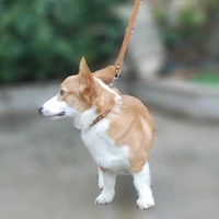 pet dog cat collar leash adjustable pet collar lead with bell pet products for small medium dogs outdoor walking corgi bulldog