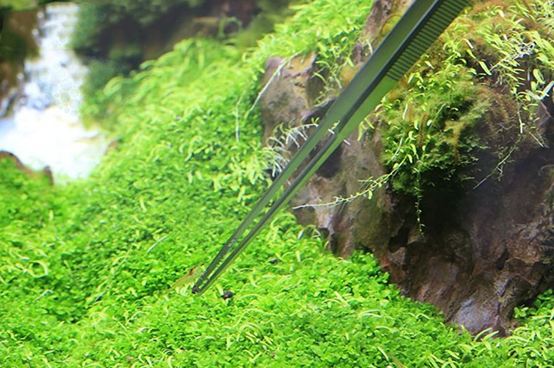 VIV водный Пинцет для растений из нержавеющей стали прямой изгиб никогда не