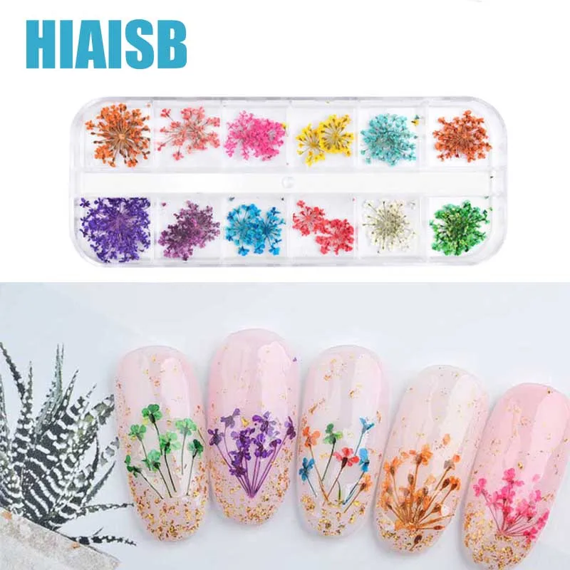 

12 Colors Dried Flowers for Nails Art Decoration With Case Real Dried Flowers Accessories Nail Supplies for Professionals