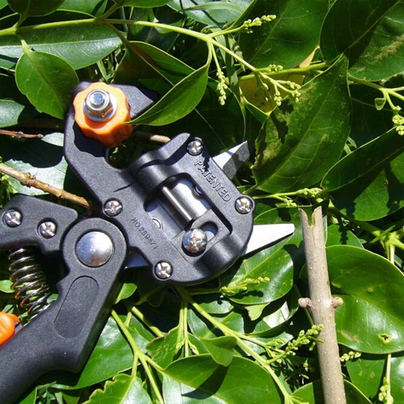 Садовый секатор для походов профессиональный растений | Спорт и развлечения