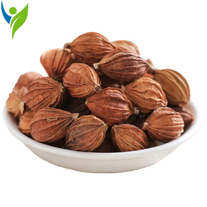 

Fructus Tsaoko Caoguo Tsaoko Cardamon (Tsaoko Sha Ren) Amomum Tsaoko Natural Chinese Herb