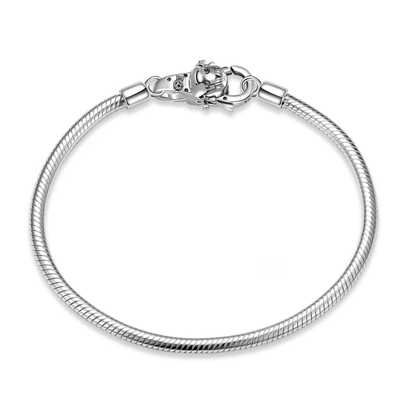 

Женский браслет из серебра 925 пробы с застежкой-карабином