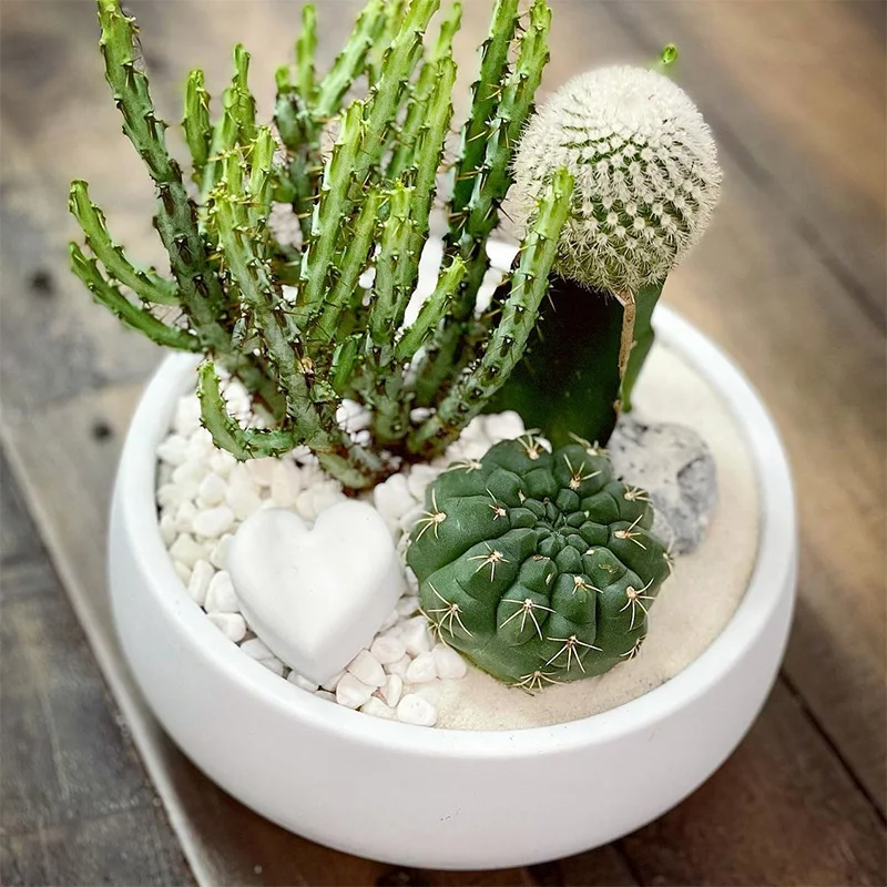 Большая силиконовая форма в форме чаши для растений сделай сам цементного цветка