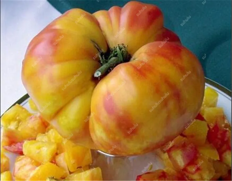 200 шт искусственных томатов |