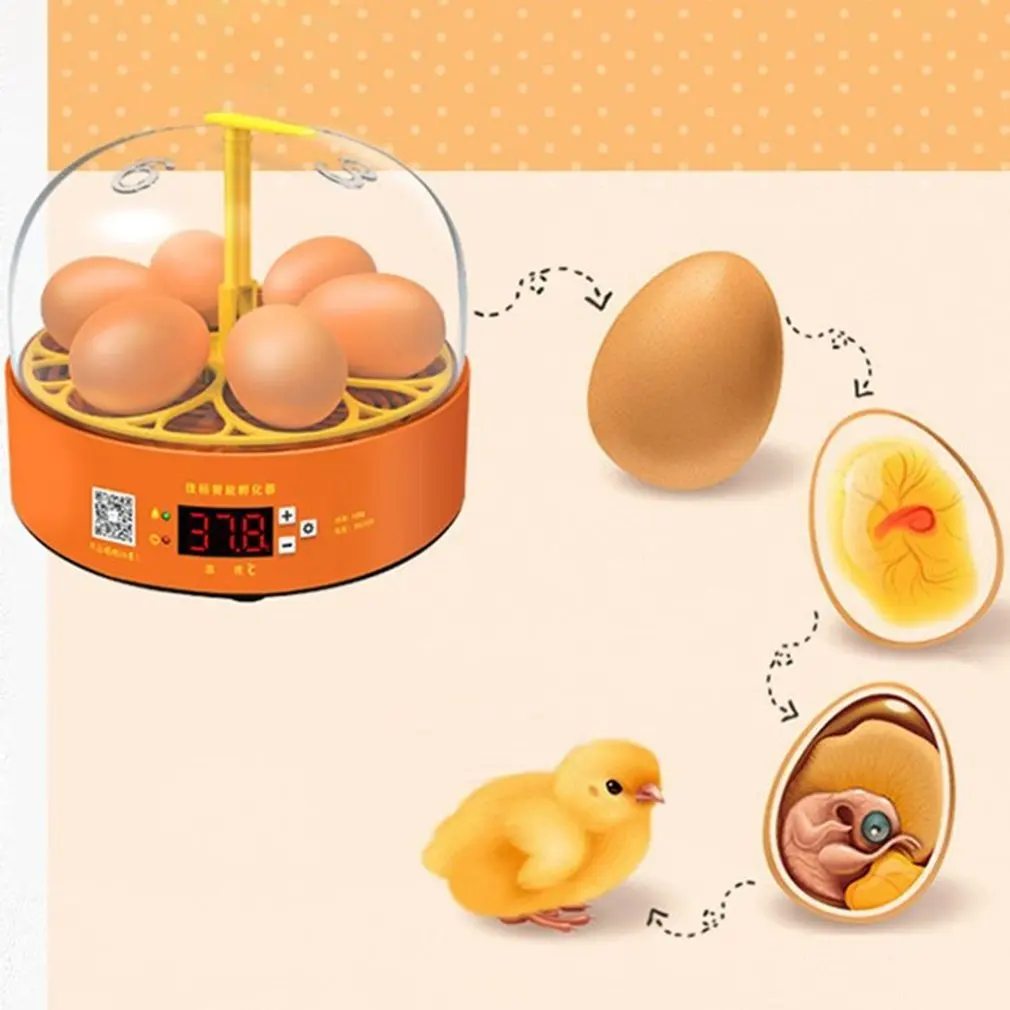 

Mini Digital 6 Eggs Incubator Automatic Temperature Brooder Chicken Duck Bird Egg Hatcher Farm Poultry Hatchery Machine