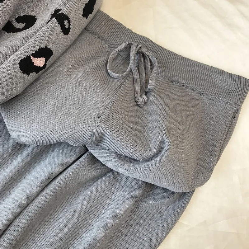 

Casual Loose Leopard Print Knitted 2 Piece Sets For Women V-Neck Pullovers Sweatshirts And Contrast Color Harem Pants Suit
