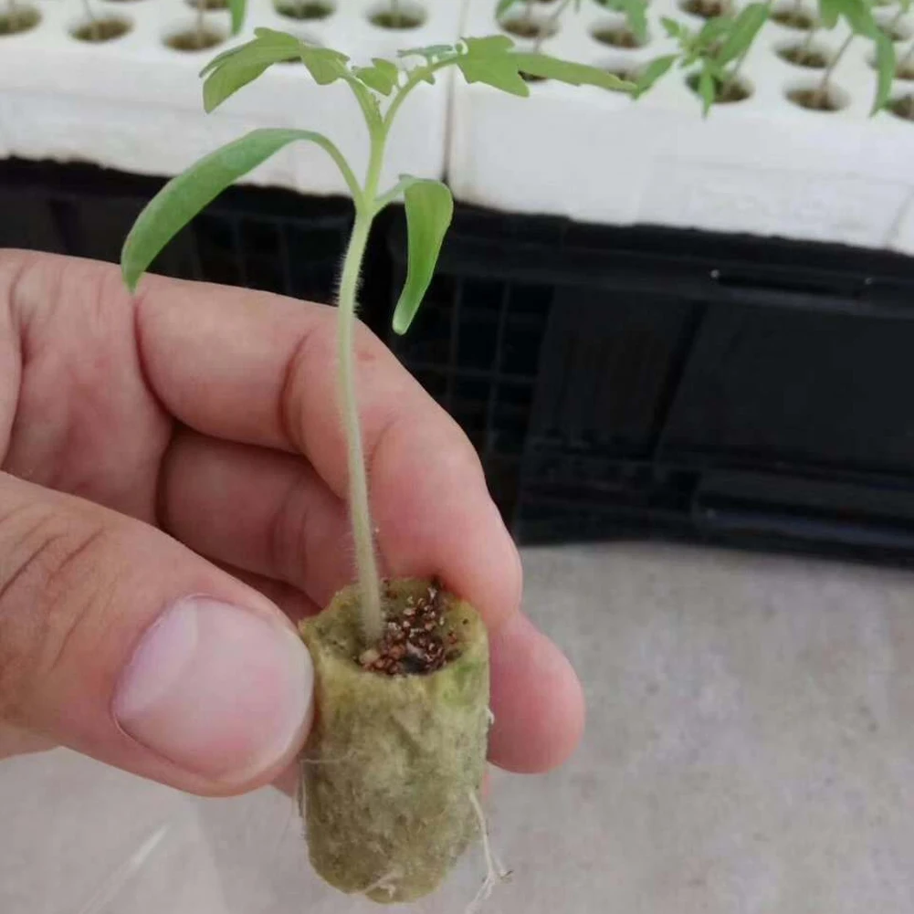 Сельскохозяйственные Гидропонные мини-пробки Rockwool устройство для запуска