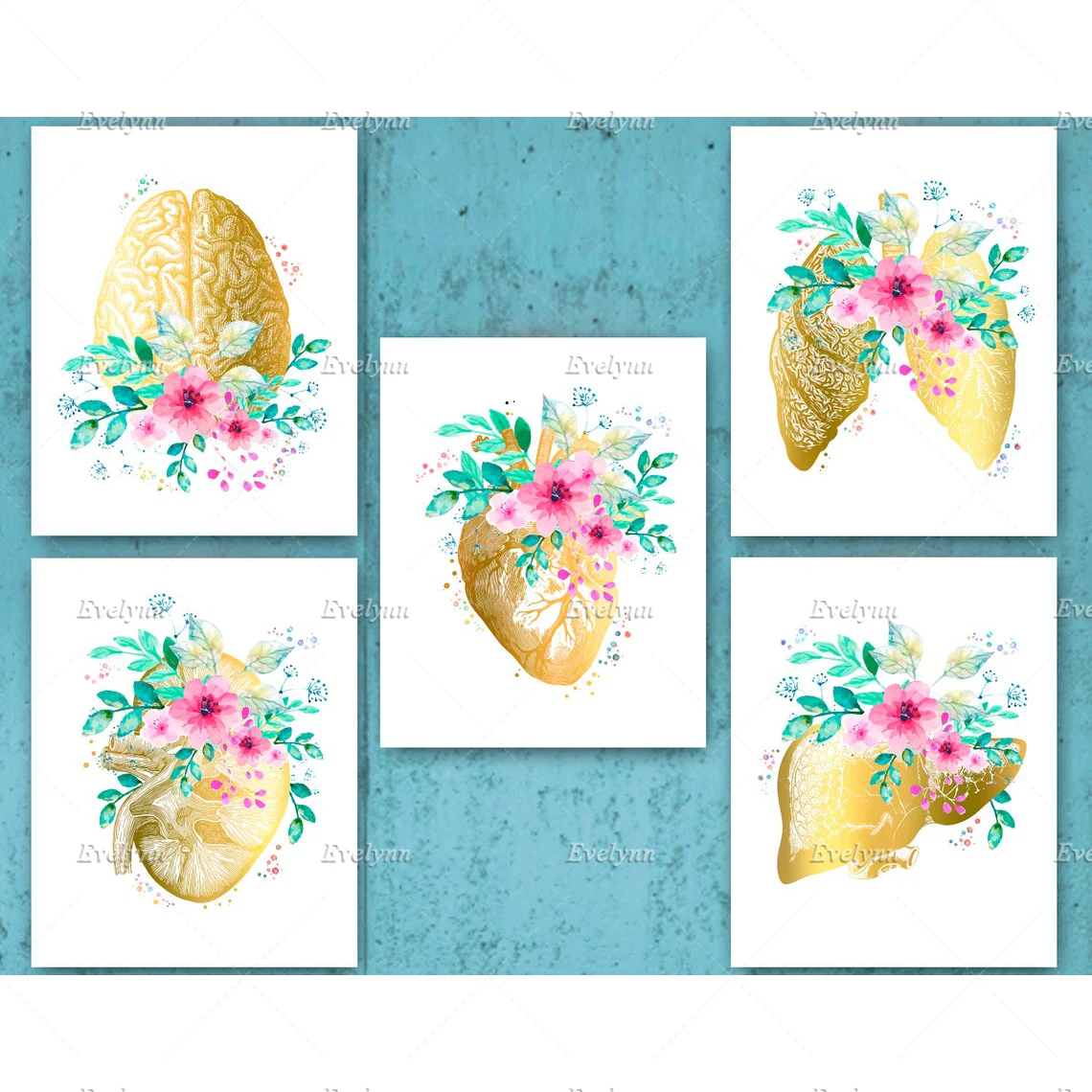 Северное золото Анатомия комплект с принтом Цветочное сердце мозга легких почек