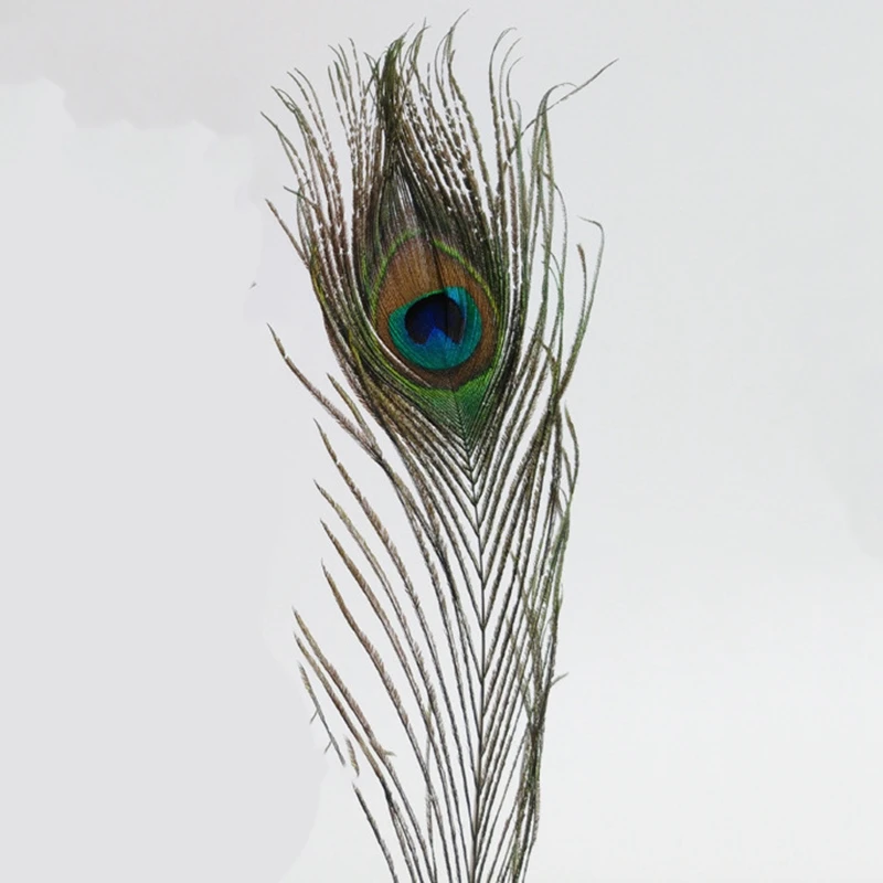 Золотое перо павлина полый круглый держатель для ручки набор подписи золотые