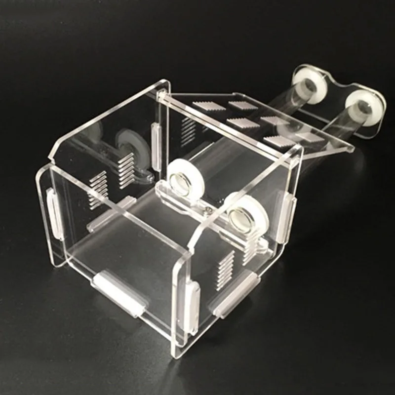 Новая акриловая пробирка гнездо живой муравей деятельности области муравья