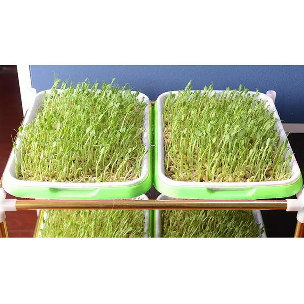 Behogar двойной Слои гидропоники рассада Sprouter лоток питомник растений прорастания