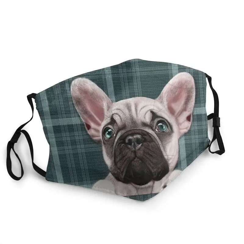 

Французская маска для лица для влюбленных, для взрослых и мужчин, противотуманная маска для французского бульдога, домашних животных, барха...