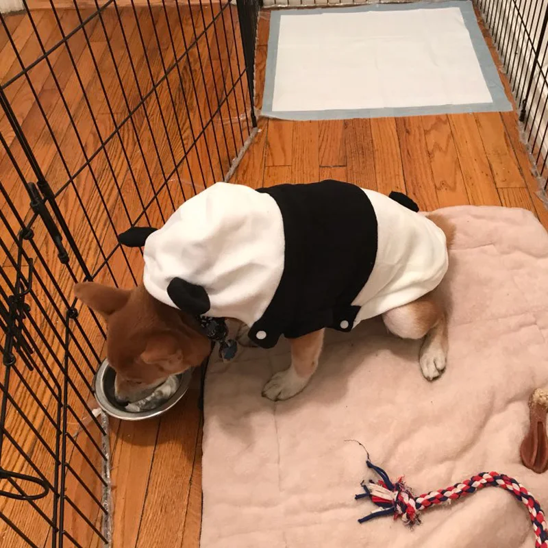 Одежда для собак зимняя Милая толстовка с капюшоном маленькой собаки кунг фу