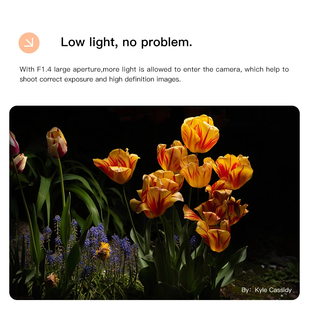 Полнокадровый объектив TTArtisan 50 мм F1.4 ASPH для камеры Sony E Canon RF Nikon Z Sigma Lumix Leica с