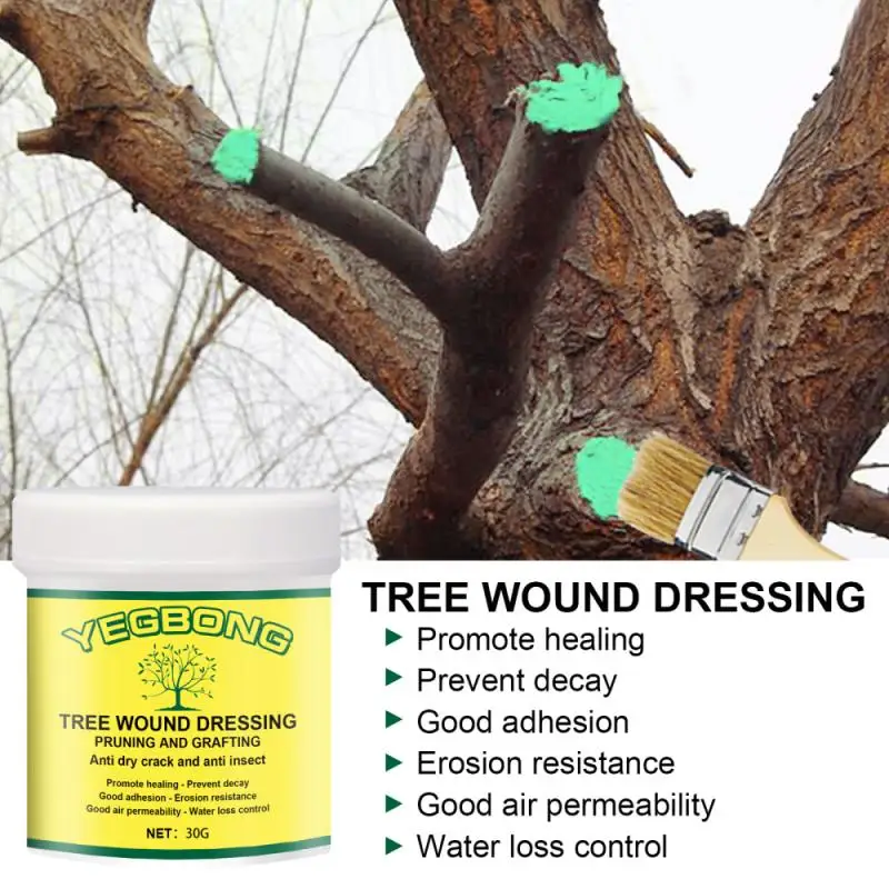 

30g Plant Tree Wound Cut Paste Smear Agent Pruning Compound Sealer With Brush Green Plant Flowers Seedling Wound Healing Cream