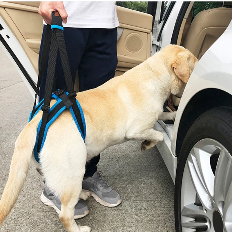 

Adjustable Dog Lift Harness Pet Support Sling Pet Dogs Aid Assist Tool for Old Dogs for Back Legs Help Weak Legs Stand Up