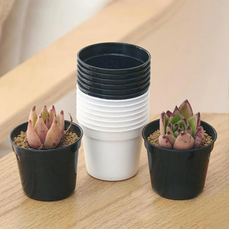 

10PCS Mini Plastic round Flower Pot Nursery Planter Home Decor