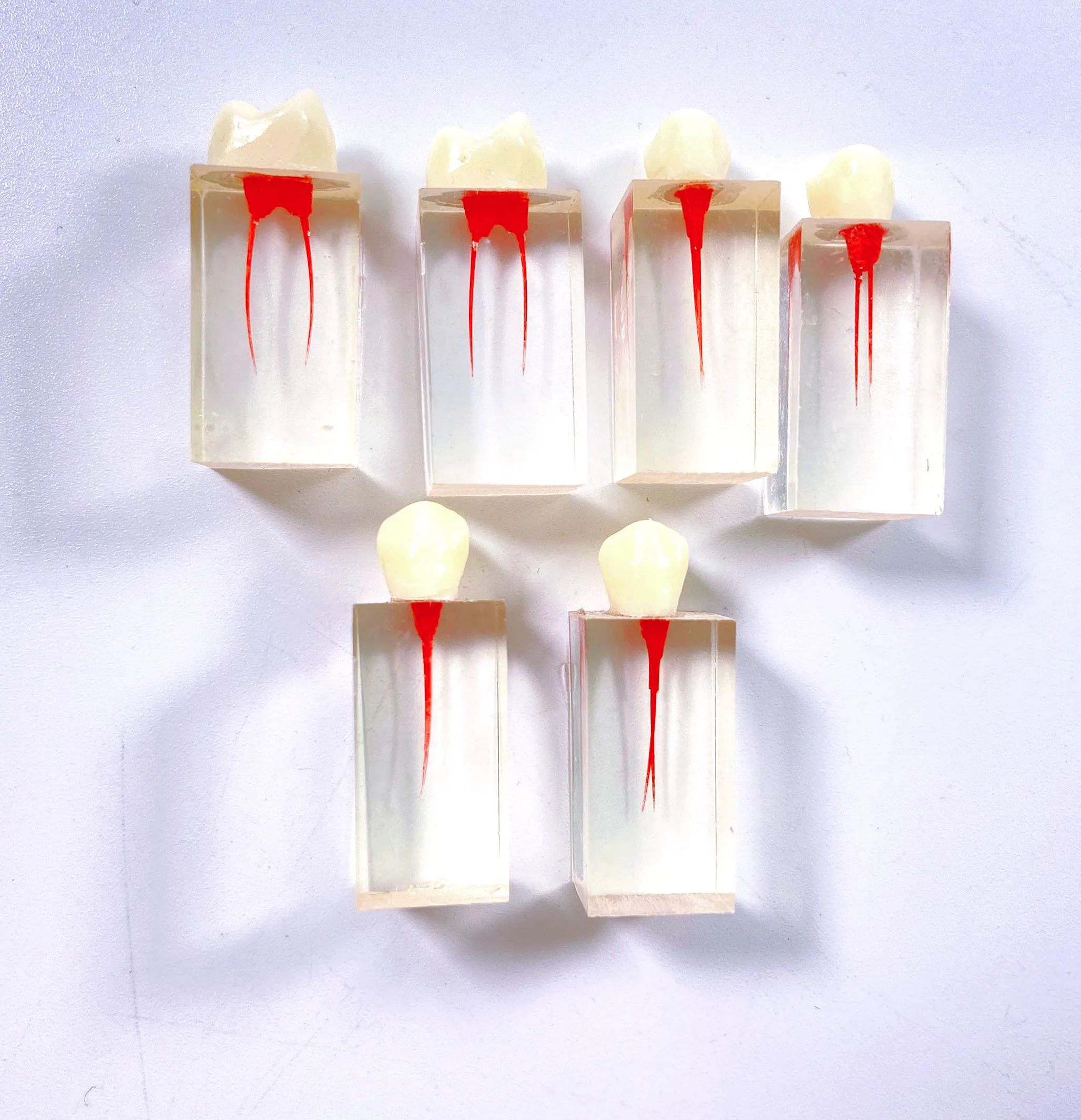 Модель для обучения стоматологии обучающий блок RCT корневой канал зубы обучение