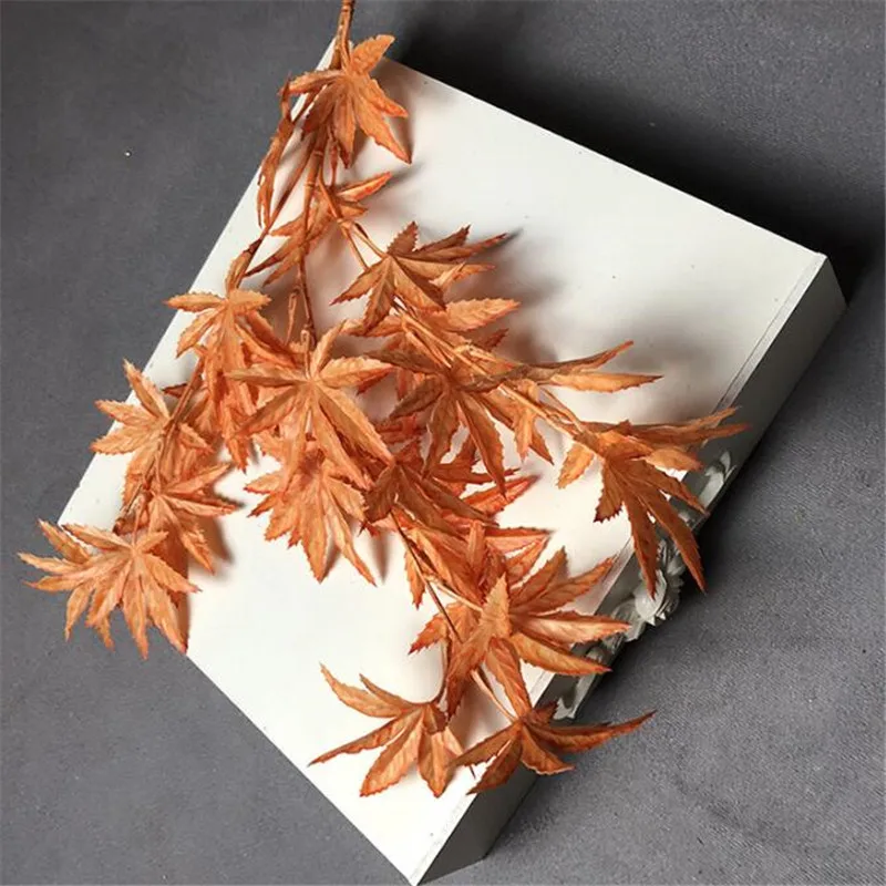 10 шт. Пластик пятиугольной в виде кленового листа моделирование ЯПОНСКИЙ клен