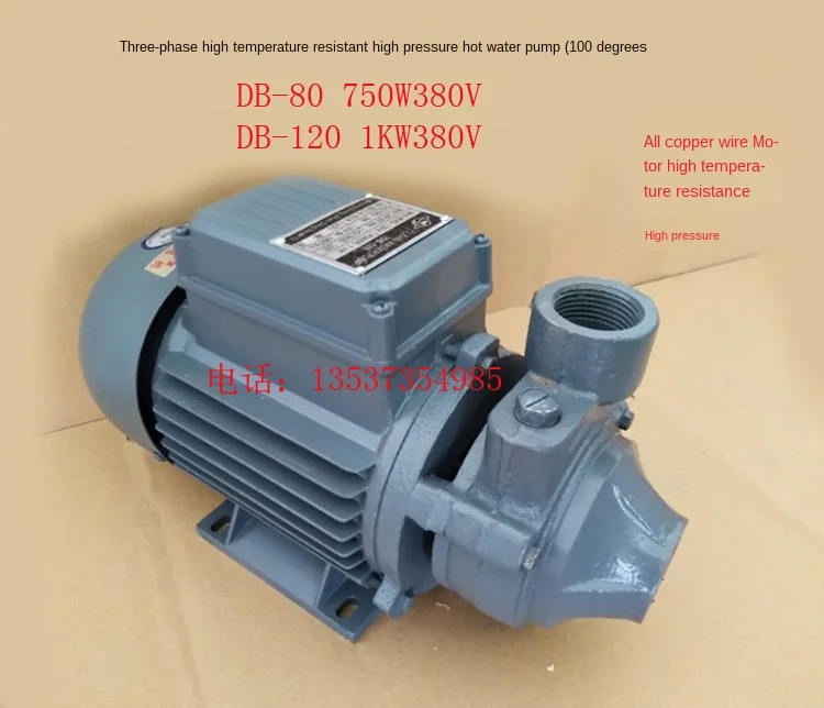 

Industrial 3-Phase 100V High Temperature Hot Water Circulating Pump Degrees 750w1000w High-Lift Centrifugal Pump Clean WaterPump