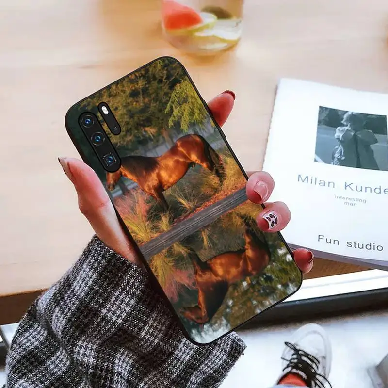 

Watercolor Horse Horses Running Phone Case For Huawei honor Mate mate P 10 9X 10i 20 30 40 y7 pro p smart 2019 lite