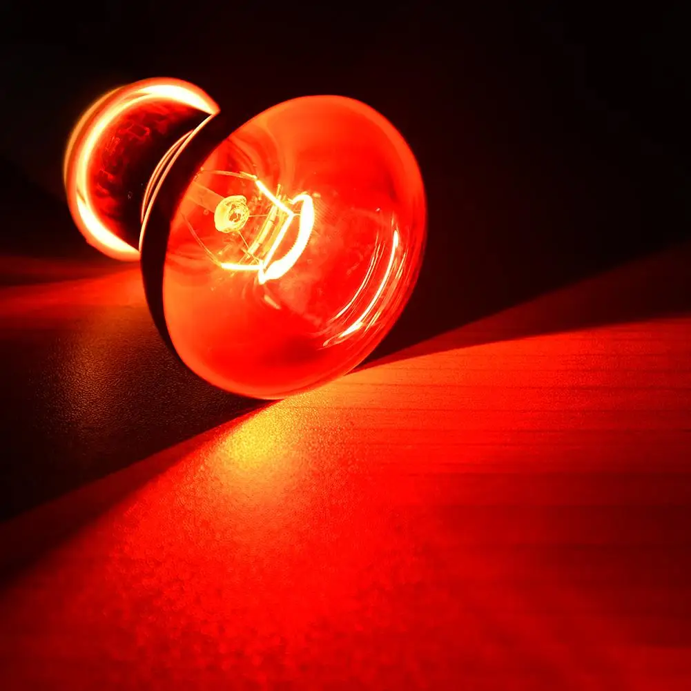 Pet Red Heating Lamp E27 Day Night For Amphibian Snake Heat Reptile Bulb UV Light 50W 100W AC220-240V | Дом и сад