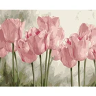 Набор для рисования по номерам на холсте розовые тюльпаны FSBCGT