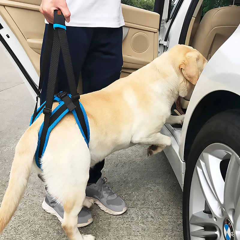 

Pet Dog Harness Dog Sling Lift Harness Leg Brace Hind Leg Help Walking Dogs Pet Balance Harness Auxiliary Belt Strap Dropshiping