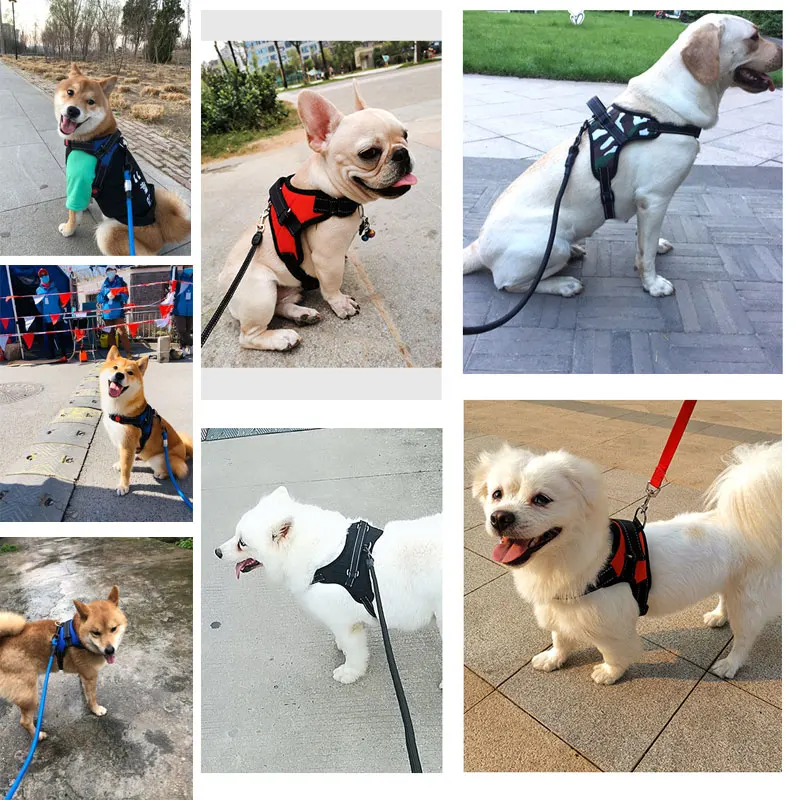 

New Dog Soft Adjustable Harness Pet Large Dog Walk Out Harness Vest for Medium Dog Chest Strap Dog Harness Pets Accessories
