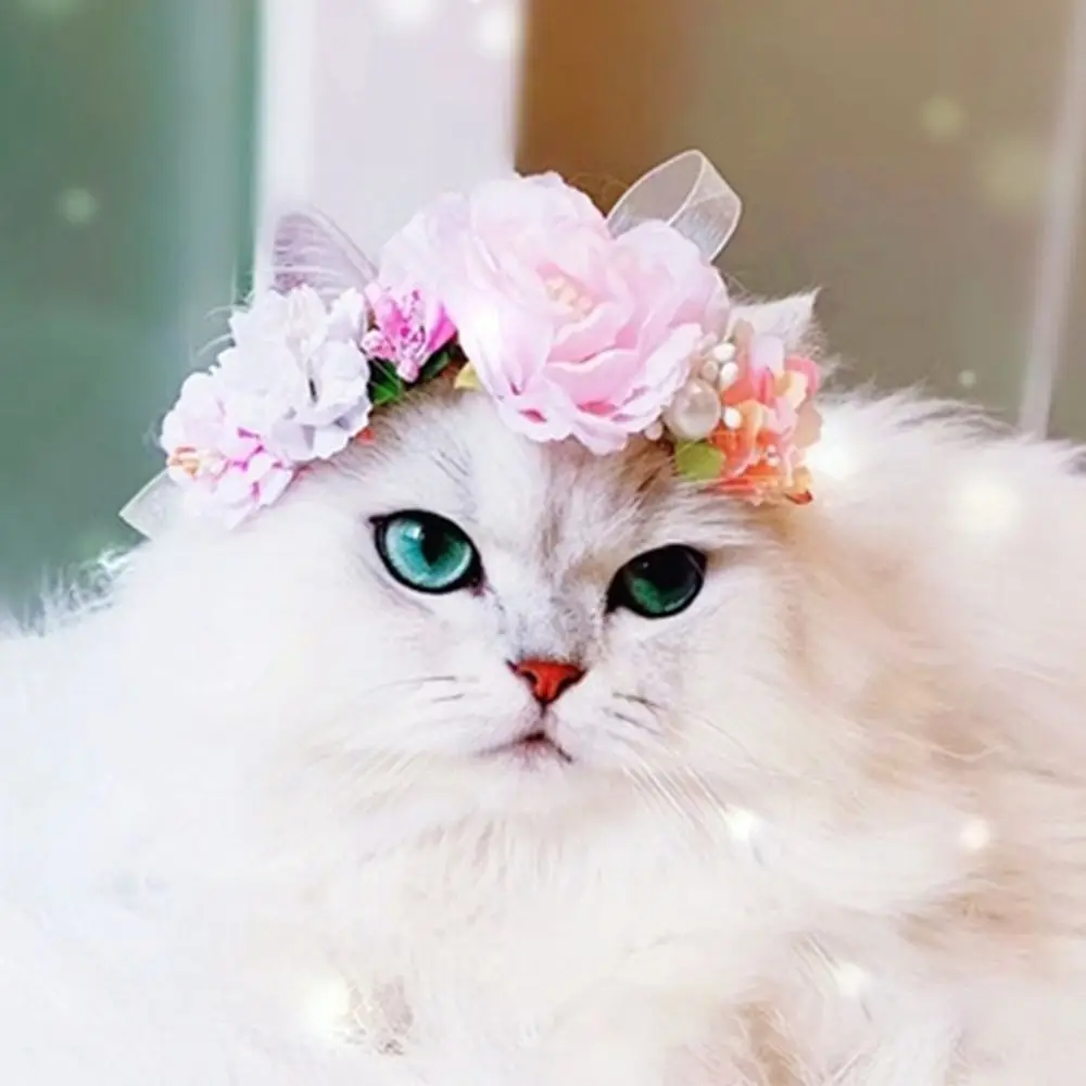 

Straw Blue Flower Bows Dog Scarf Yorkie Ragdoll Headwear Cat Neck Decor Cat Collars Pet Products Kitten Necklace