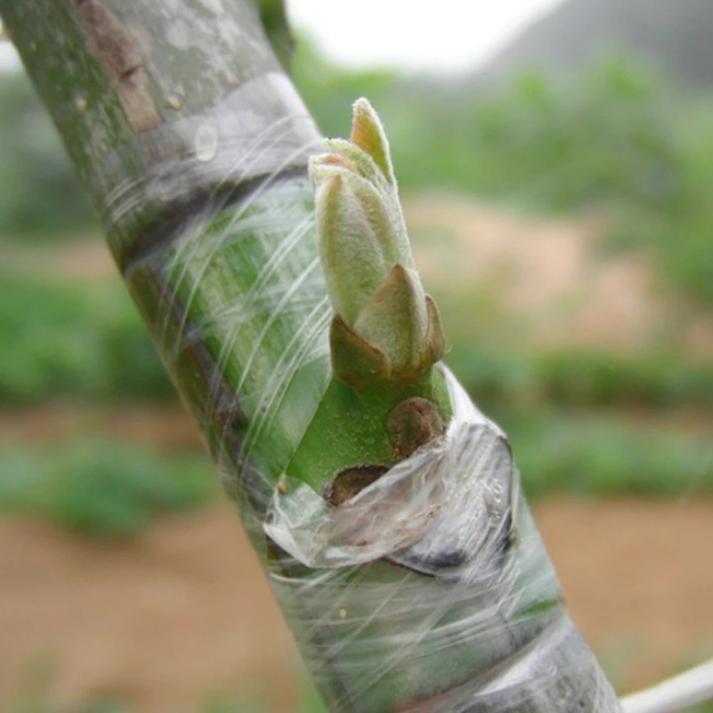 

Tree Moisture Bandage Biodegradable Self Adhesive Stretch Film Roll Parafilm Grafting Tape For Plant Membrane Garden Tool