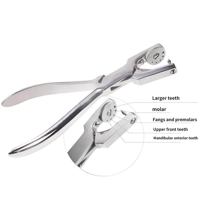 Пероральный ортодонтический Материал Уход за зубами дамба перфоратор Дырокол