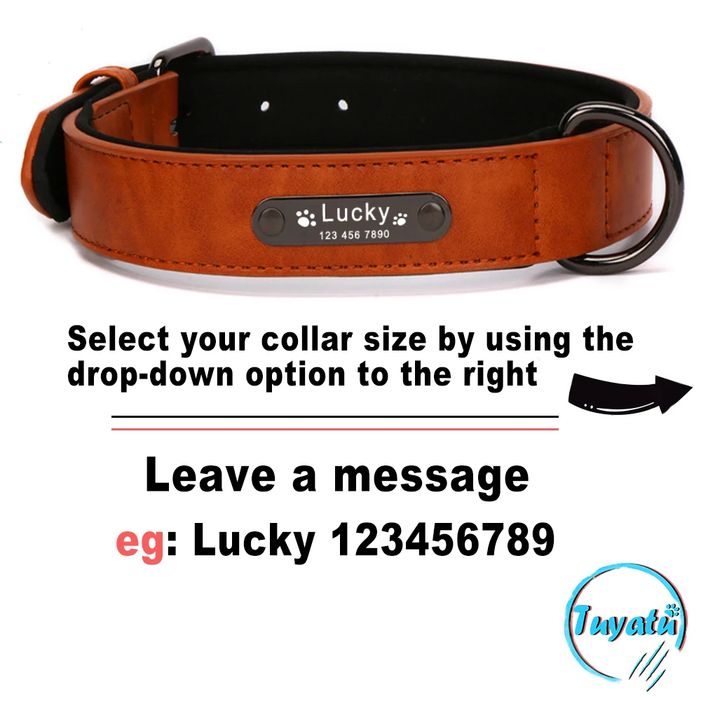 Большой Ошейник для маленькой собаки с Роскошный дизайнерский кожаный поводок