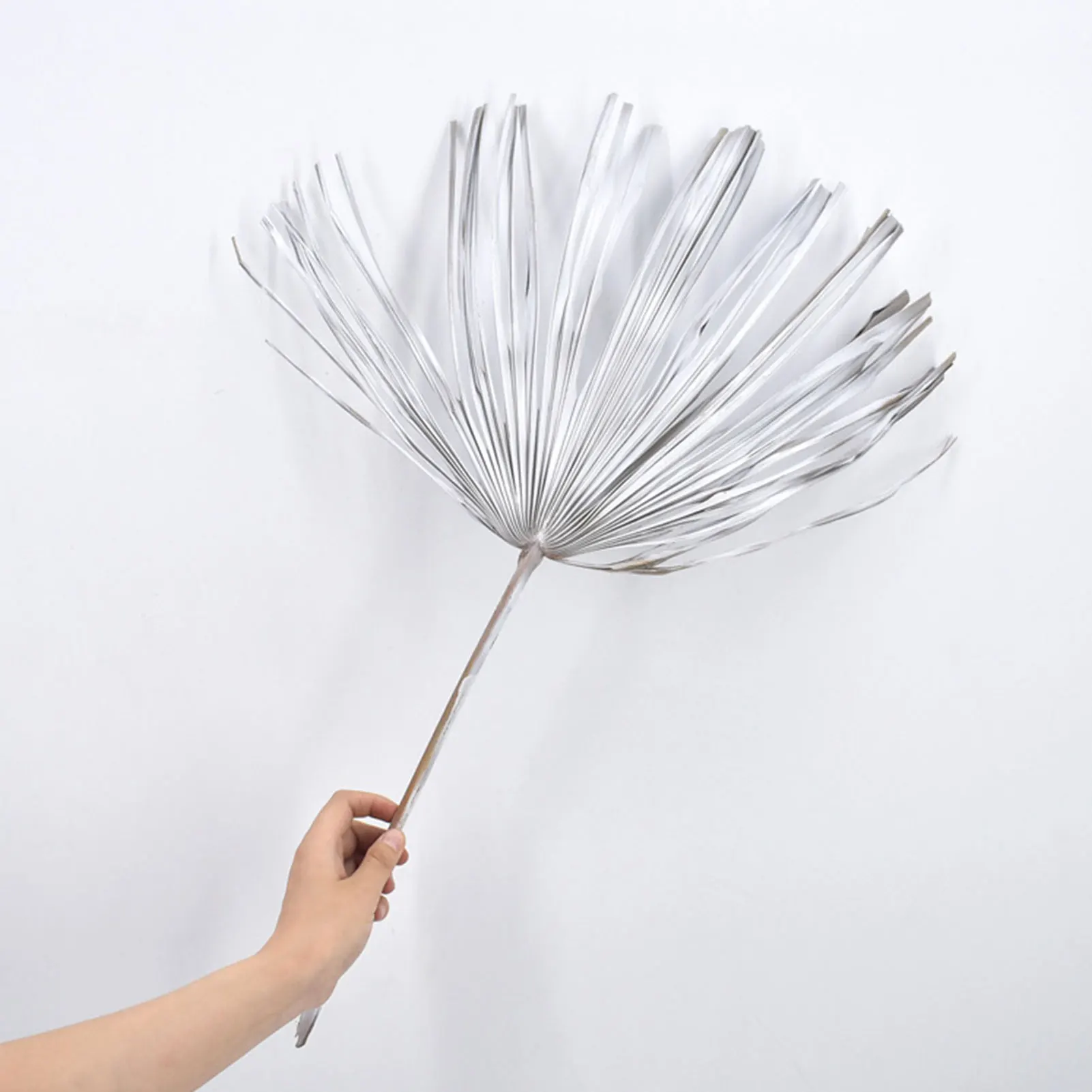 

Натуральные сухие Пальмовые Листья, сухие Пальмовые Листья, висячие украшения для окон магазина, вечеринки, декора «сделай сам» на стену, дл...