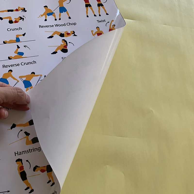 Ламинированные большой плакат для тренировки Set-идеальный Плакаты домашнего