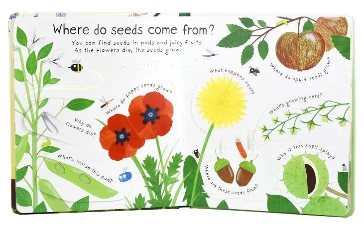 Первые вопросы и ответы через Usborne как расти цветок английские Обучающие книжки с