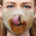 Взрослая Женская забавная велосипедная ткань с принтом для лица, дышащая маска для лица с изображением рта, моющаяся маска для рта, многоразовая защитная маска