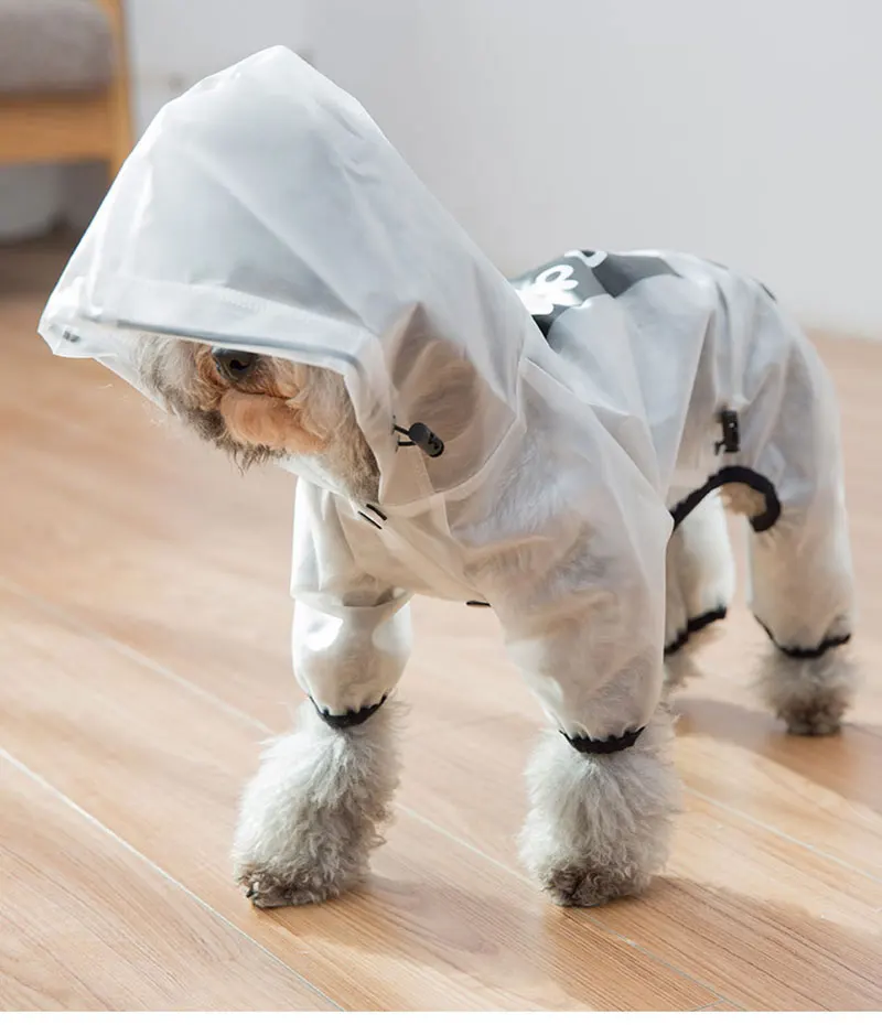 дождивик для собак средних Индивидуальный прозрачный сиамский четырехногий