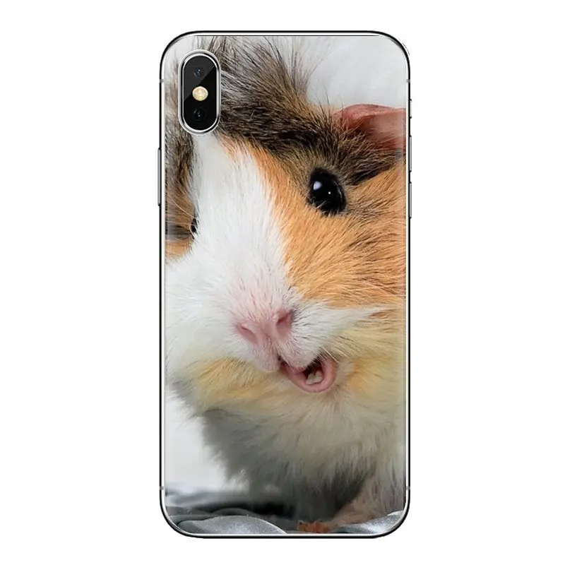 For Samsung Galaxy S2 S3 S4 S5 MINI S6 S7 edge S8 S9 Plus Note 2 3 4 5 8 Coque Fundas Silicone Phone Case cute animal Guinea pig |