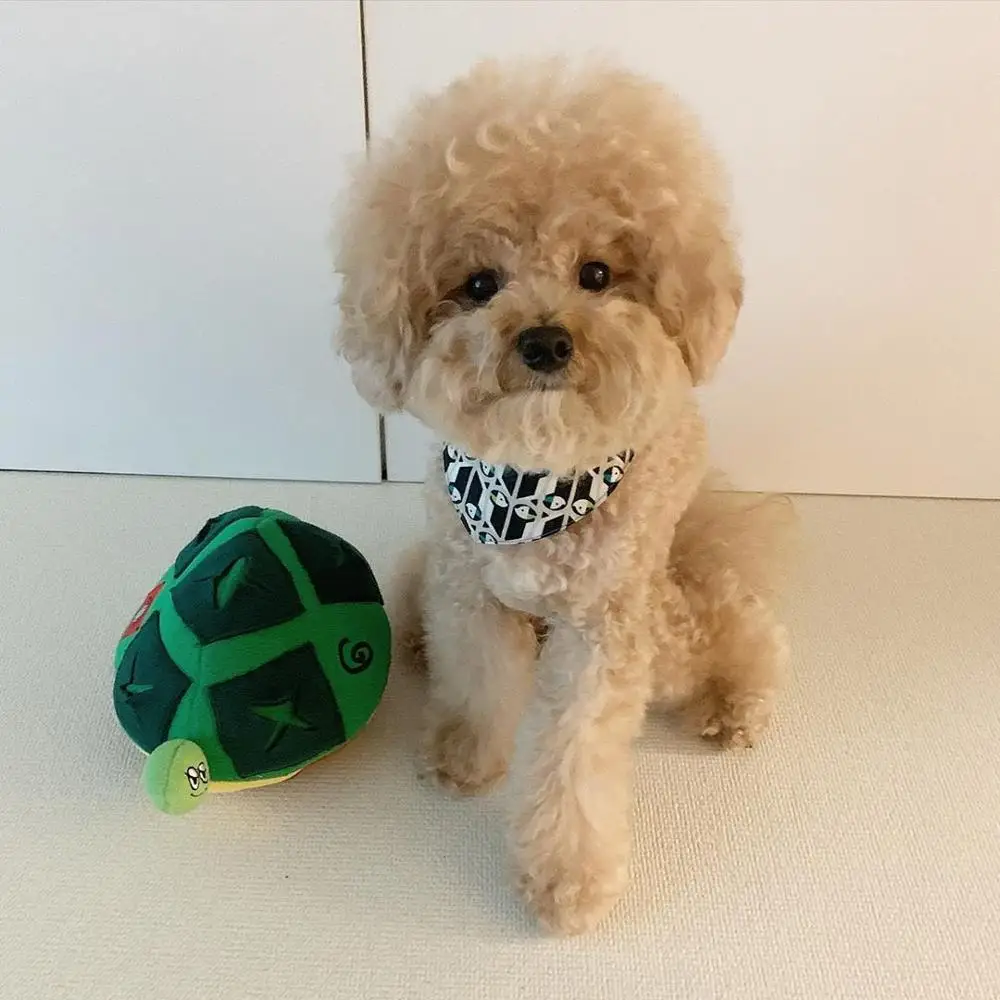 

new Ins Hot Korea Cute Pet Dog Cat Plush Squeak Sound Dog Toys Tortoise Funny Fleece Durability Chew Molar Toy Fit for All Pets