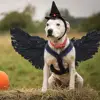 Изображение товара 2